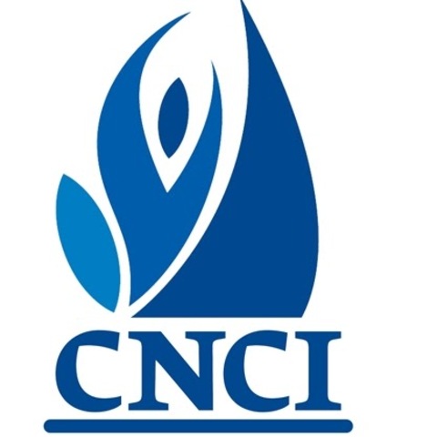 Carrera Técnica en Computación