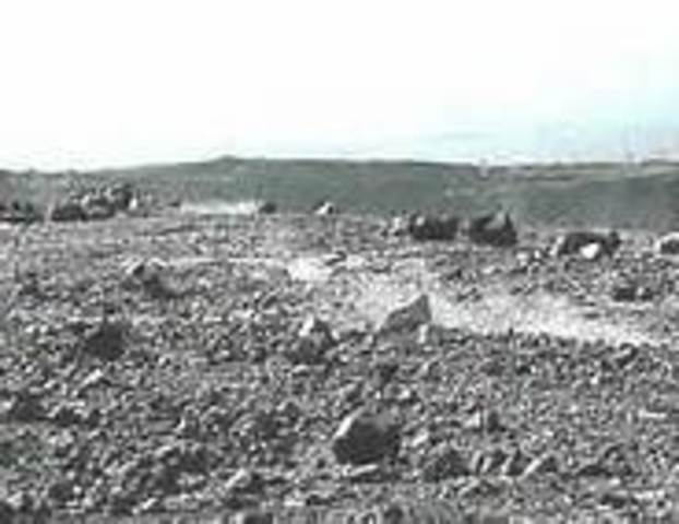 ESTUDIO PROCESOS DE SUCESION