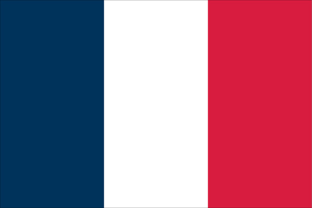 Orientación Profesional en Francia