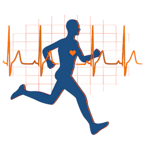 Cardiovascular Endurance