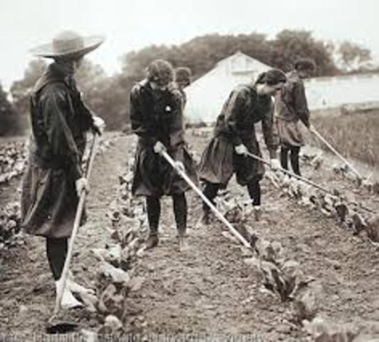 WWI changes Canada: Farmers