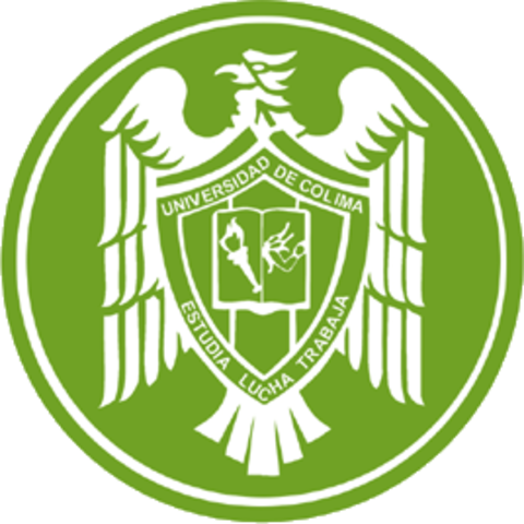 Inicio de los Estudios Formales en la Universidad de Colima en la Escuela Superior de Ciencias de la Educación 1981 - 1986.