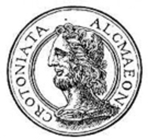 590 год до н.э. Алкмеон из Кретоны