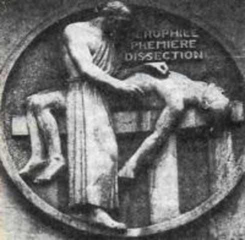 325 — 280 гг. до н.э. Герофил