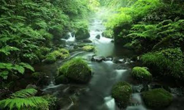 Stephen Alfred Forbes