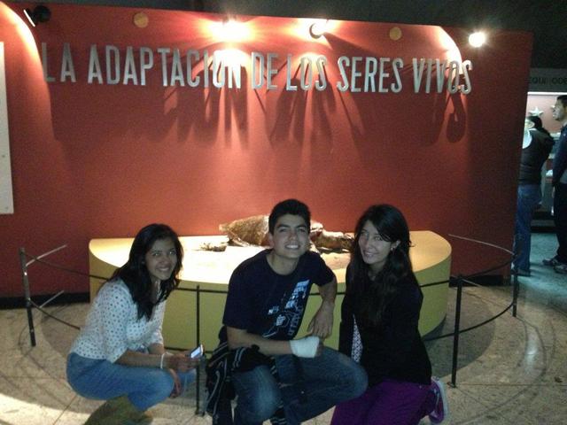 Museos para Juan Bravo