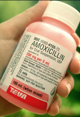 SmithKline Beecham invents Amoxicillin.