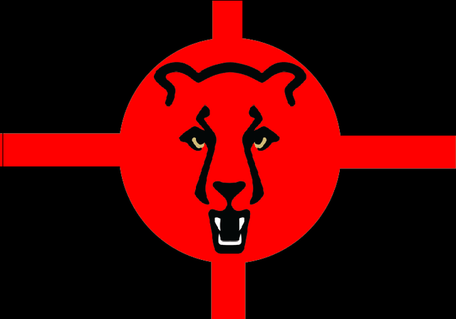 The modern day Tropicopia flag was made.