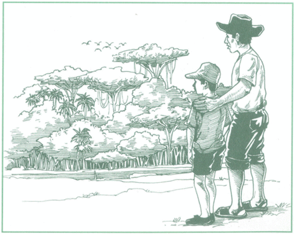 Concepto de ecosistema como un paradiga