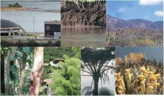 Clasificación de los ecosistemas