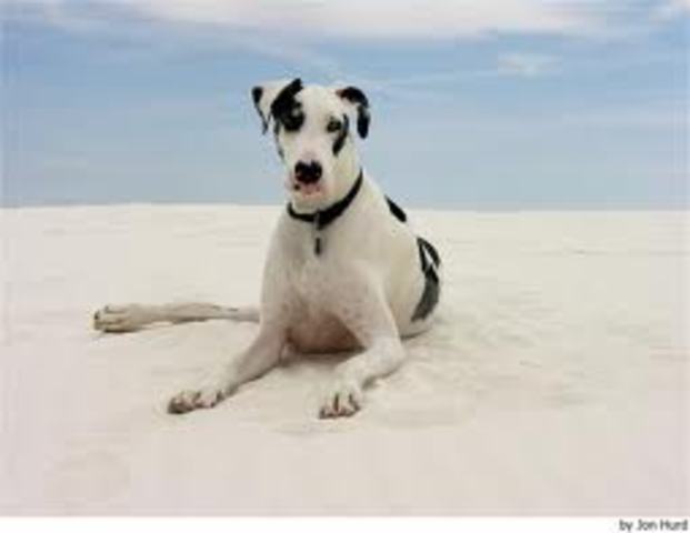 en la actualidad y MAS