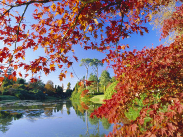 Gerard Manley Hopkins - Pied Beauty