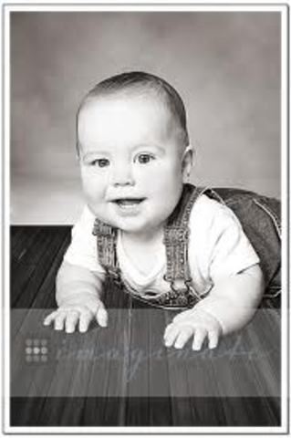 Daniel Boone was born in Pennsylvania.