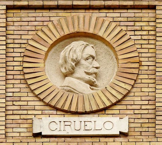 Pedro Sánchez Ciruelo (1470-1548)