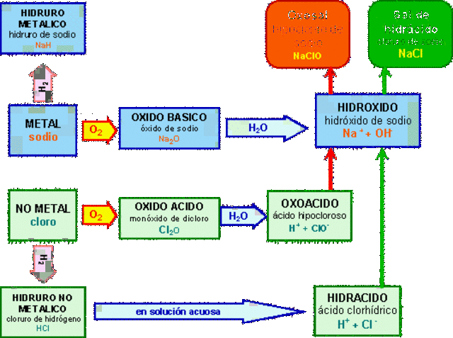 los componentes orgánicos e inorgánicos se encuentran conectados