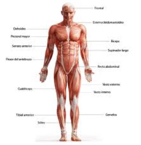 sistemas cibernéticos