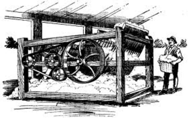 Invention of the Cotton Gin