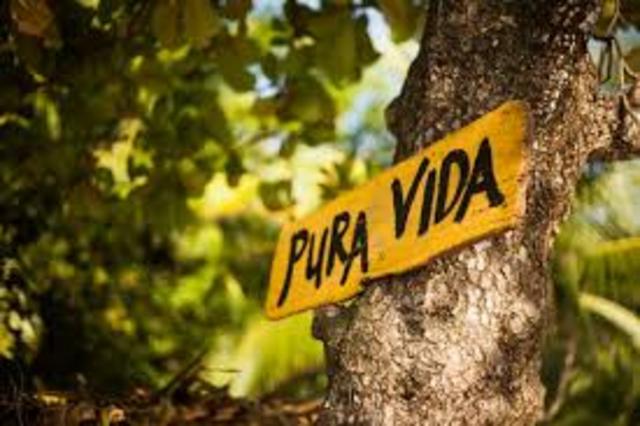 Comienzo de la comprensión de la labor real del orientador