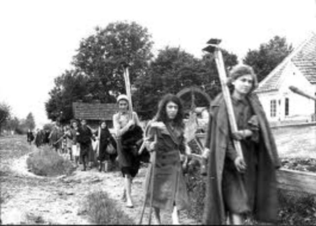 Milada Taken To German Camp