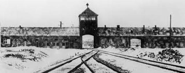 felix and zelda get saved