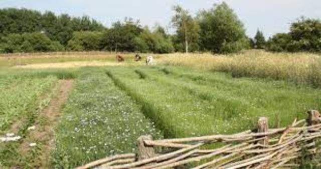 Leif Eriksson makes a small settlement in Vinland