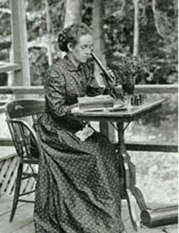 Elizabeth Knight Britton