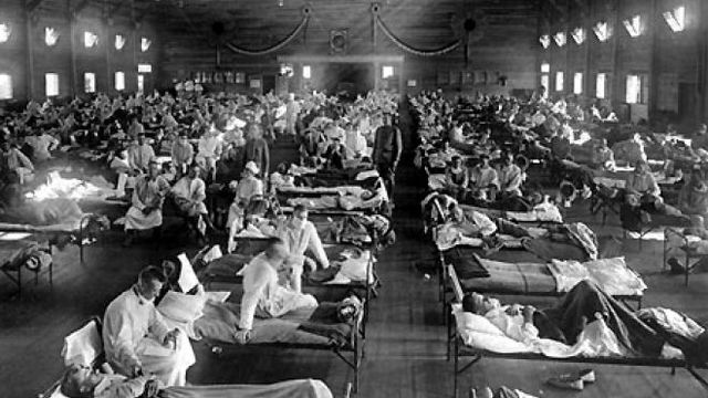 Flu pandemic