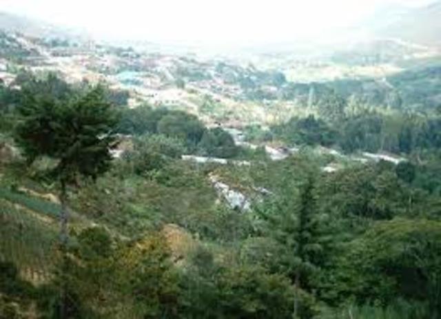 ecosistemas boscosos