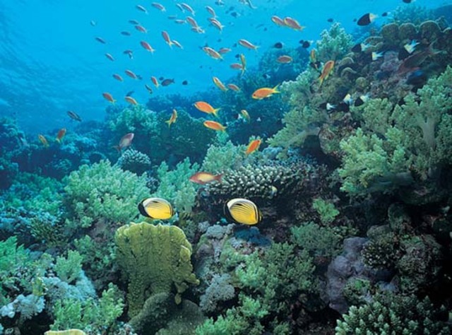 Ecosistemas acuaticos