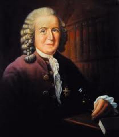 NATURALISTA SUECO CARLOS LINNEO