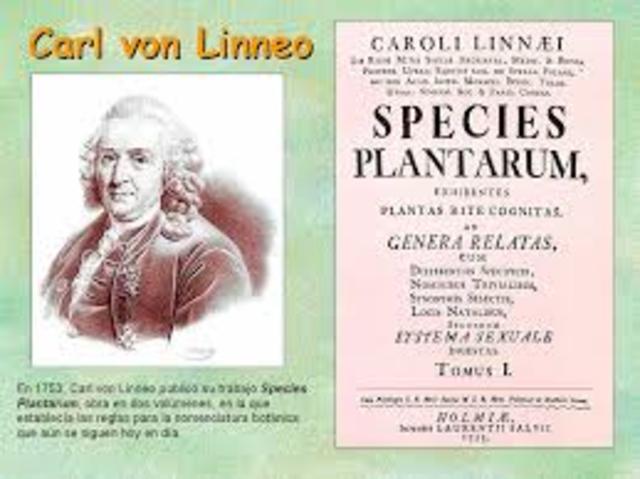 BASES DEL SISTEMA DE CLASIFICACIÓN