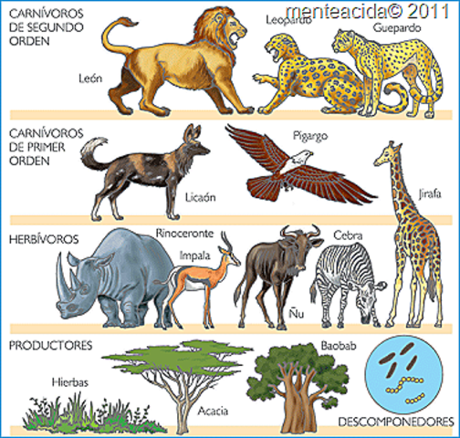 LIBRO LAS ESPECIES Y LAS PLANTAS
