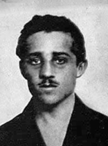 The Cause of the War: Gavrilo Princip