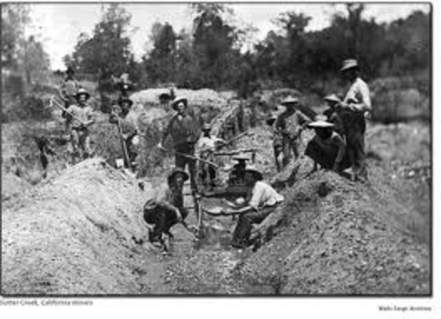 1 out of 10 Californianers were Chinese