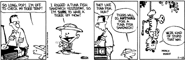 First Calvin and Hobbes comic strip is published.