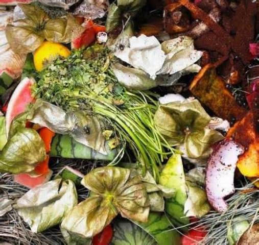 Herbert Bormann Ecologo·Genelikens· limnologo