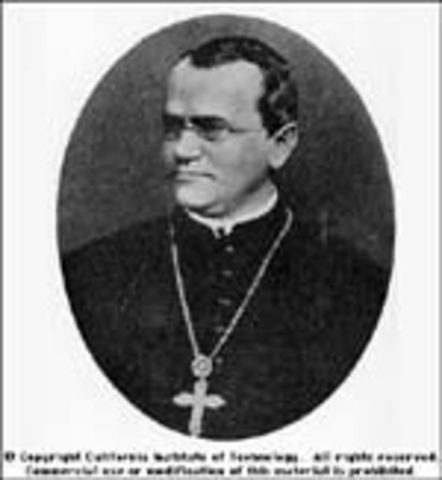 Gregor Mendel