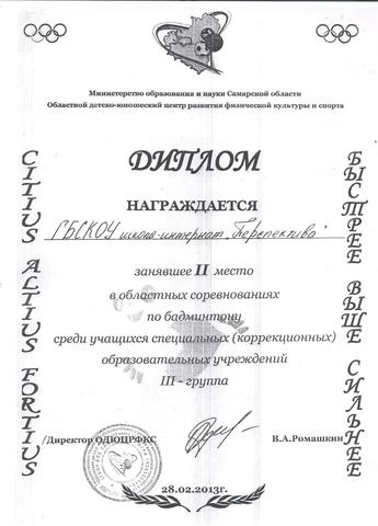 Областные соревнования по бадминтону