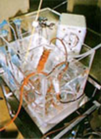 Artifical Liver: Kenneth Matsumura