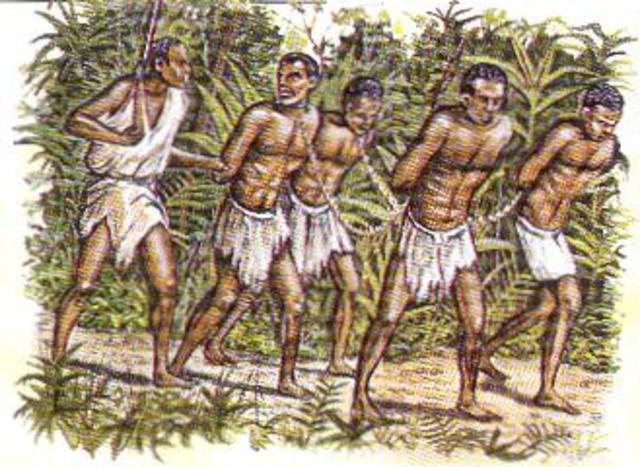 Beginning of Portugese Slave Trade