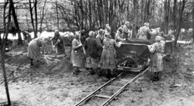 Nazis begin rounding up Jews for labor camps
