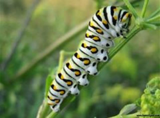 De dentro hacia afuera