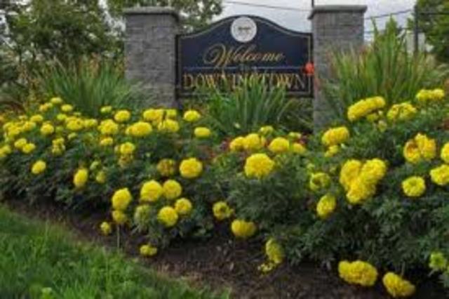 Hace nueve años que me mudé a Pennsylvania