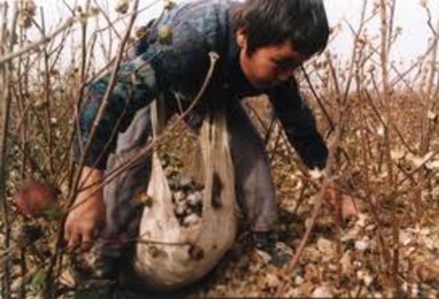 Panchito Está Creciendo