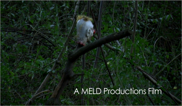 PRODUCTION COMPANY : A MELD Productions Film – 00:12