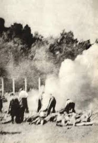 Hungarian Jews are deported to Auschwitz.  On July 24 alone, 46,000 Jews are murdered