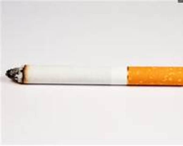 El costal de algodón