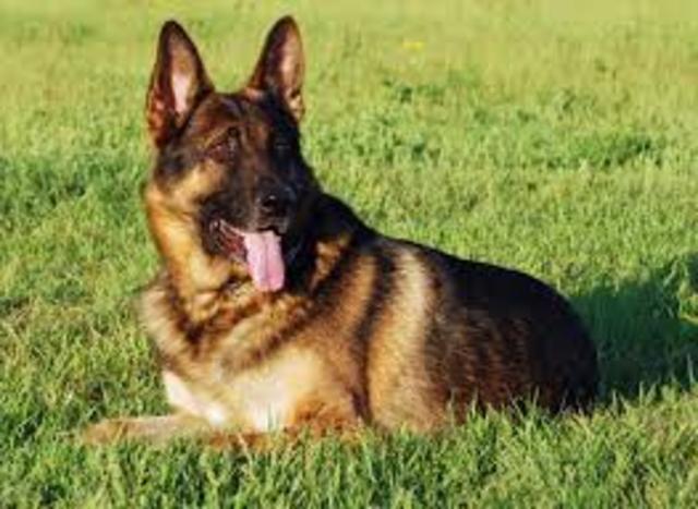 Ivan goes back to Leningrad with Thor