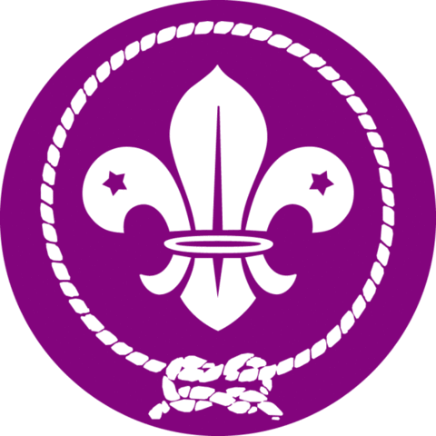 ZHP zostaje przyjęte do WOSM
