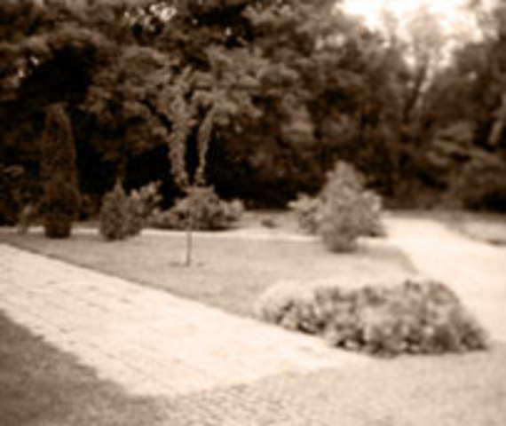 Tesla Has A.C. Epiphany